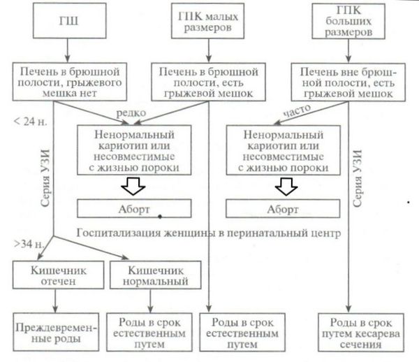 Схема ведения беременности и родов в случае гастрошизиса