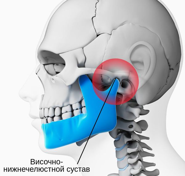 Височно-нижнечелюстной сустав