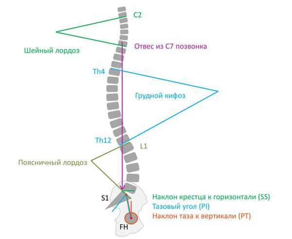 Сагиттальный баланс позвоночника
