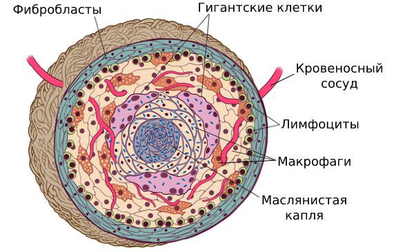 Капсула с маслянистым веществом