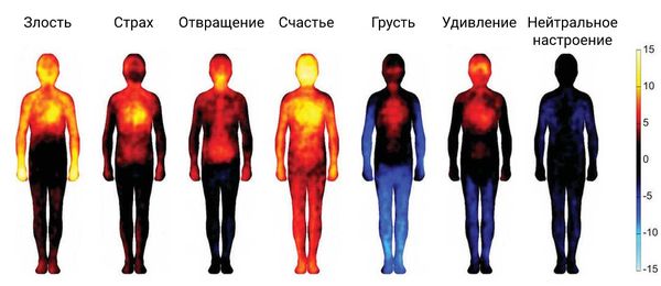 Реакция организма на эмоции 